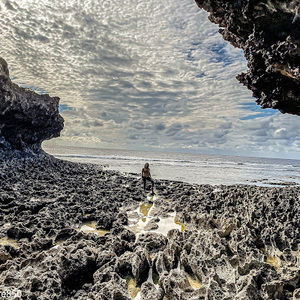 Meet your Posher, Cherilyn